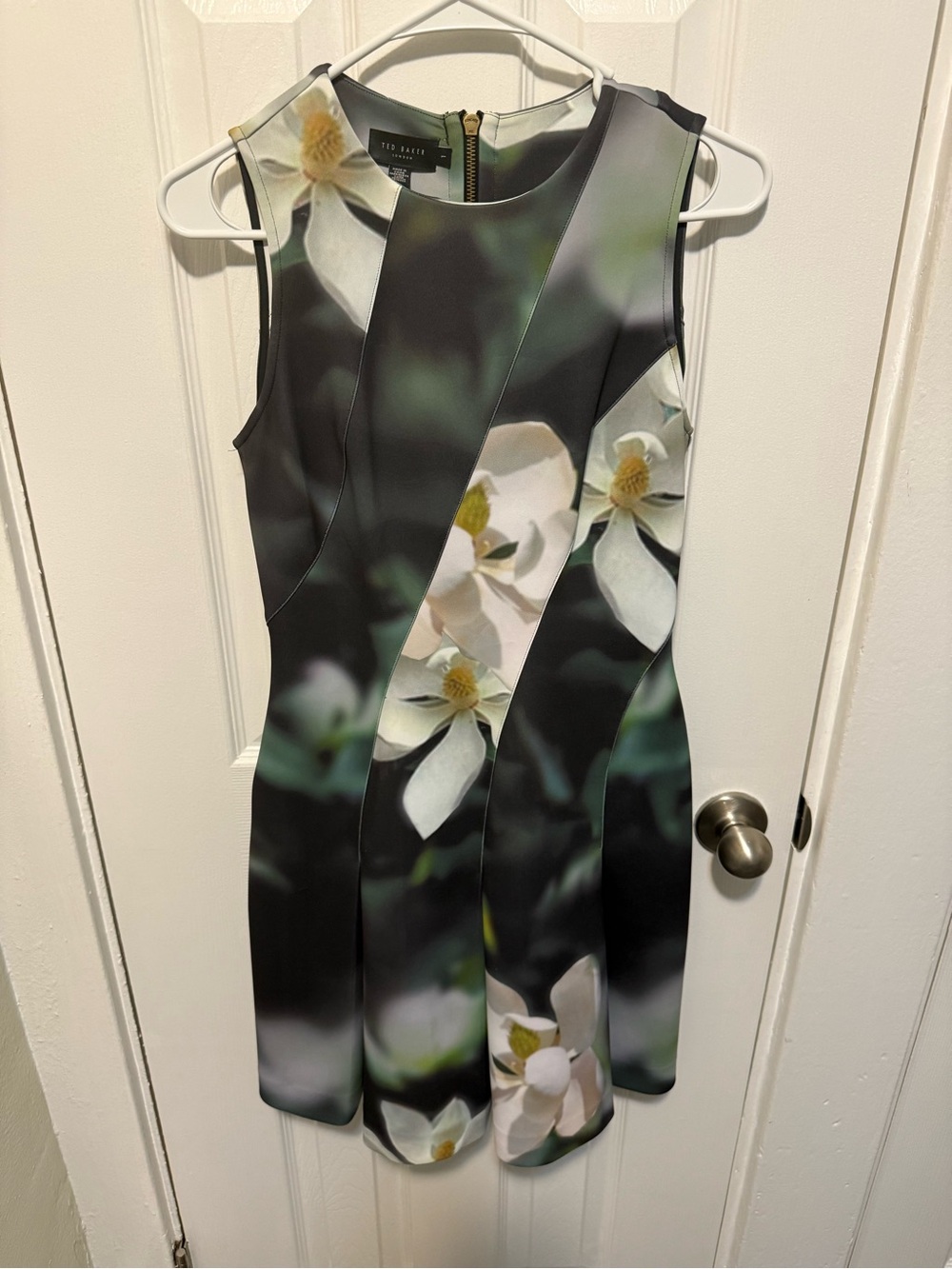Size 1 Ted Baker London Floral Fit & Flare Dress
